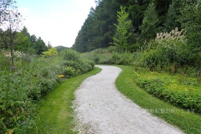 北海道 富良野市 プリンスホテル 風のガーデン 野の花の散歩道