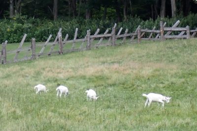 北海道 富良野市 プリンスホテル 風のガーデン