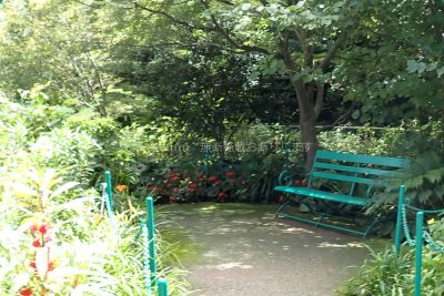 高知県 モネの庭 薔薇のアーチとベンチ