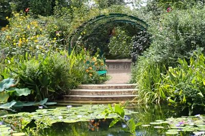 高知県 モネの庭 バラのアーチ