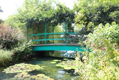 高知県 モネの庭 太鼓橋と藤棚