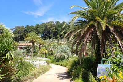 高知県 モネの庭 ボルディゲラの庭