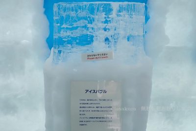 北海道 然別湖コタン ジオイグルー