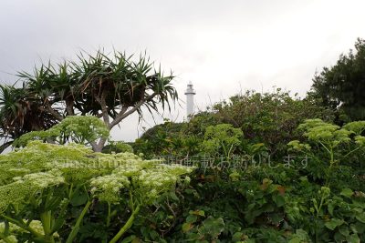 鹿児島県 沖永良部島 国頭岬灯台