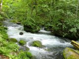 青森県 十和田市 奥入瀬渓流