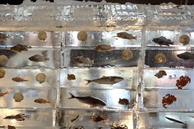 北海道 札幌市 雪まつり