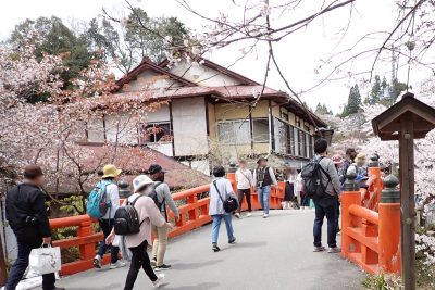 奈良県 吉野町 吉野山 吉野参詣道 桜 千本桜 奈良県 吉野町 大橋