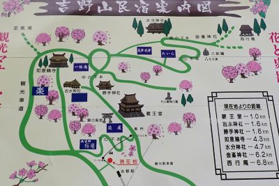 奈良県 吉野町 吉野山 吉野参詣道 桜 千本桜 看板 七曲りの下千本