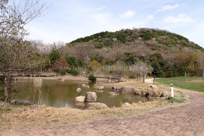 兵庫県 西宮市 甲山公園