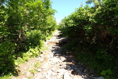 宮城県 栗駒山 登山道 中央コース 登山 石畳