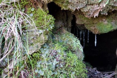 長崎県 雲仙市 雲仙岳 普賢岳 登山 つらら