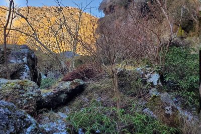 長崎県 雲仙市 雲仙岳 普賢岳 登山 霧氷沢