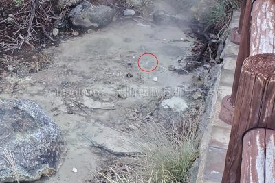 長崎県 雲仙市 雲仙地獄めぐり 雀地獄