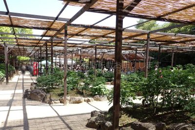 島根県 松江市 日本庭園 由志園