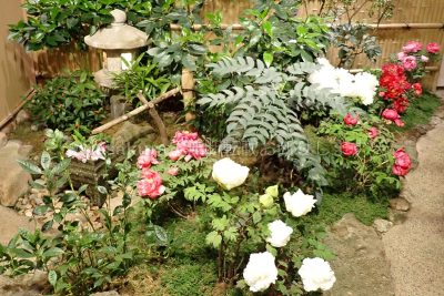 島根県 松江市 日本庭園 由志園 牡丹の館