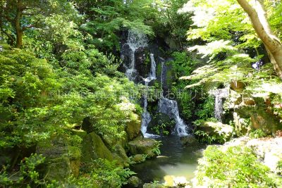 島根県 松江市 日本庭園 由志園 竜渓滝