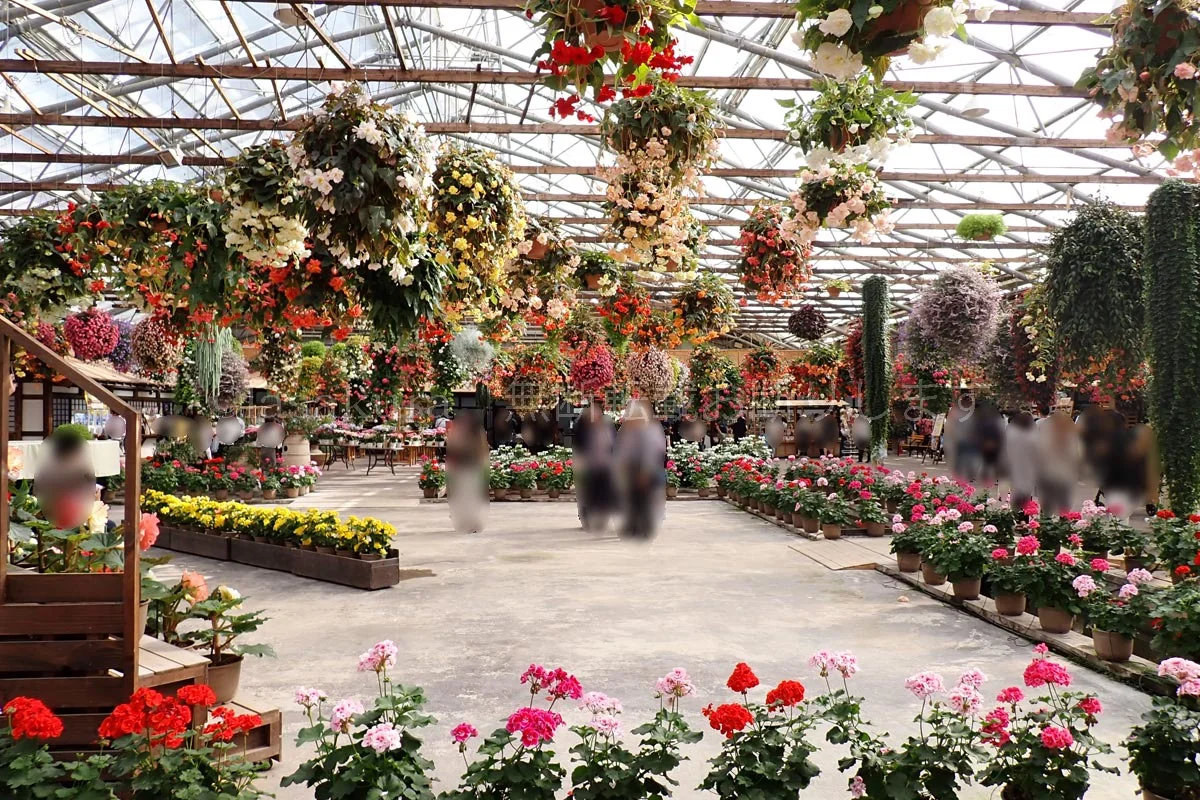 松江フォーゲルパーク ペンギン膝のせとワシノスリふれあい体験 | いい