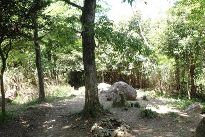 六甲山 金鳥山 登山