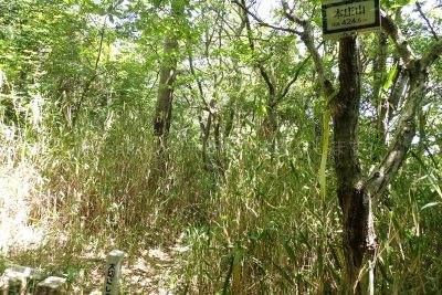 六甲山 本庄山 登山