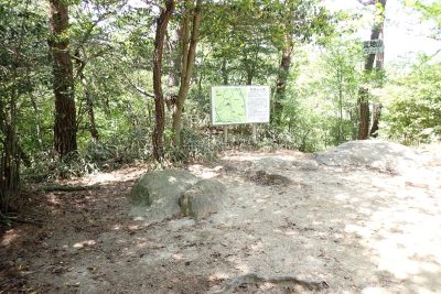六甲山 荒地山 登山