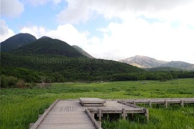 タデ原湿原遊歩道
