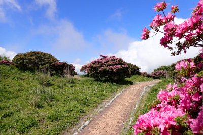 大分県 別府市 鶴見岳 別府ロープウェイ