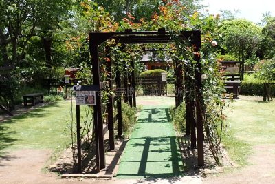 大分県 別府市 温泉 べっぷ地獄めぐり 海地獄