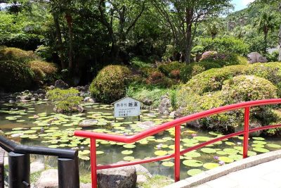 大分県 別府市 温泉 べっぷ地獄めぐり 海地獄