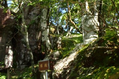 大分県 別府市 鶴見岳 別府ロープウェイ 七福神めぐり 七福神めぐり4