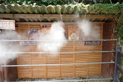 大分県 別府市 温泉 べっぷ地獄めぐり かまど地獄