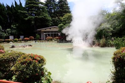 大分県 別府市 温泉 べっぷ地獄めぐり