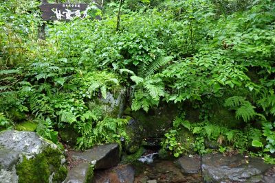 北海道 利尻島 利尻山 登山