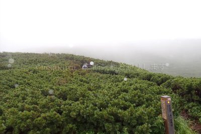 北海道 利尻島 利尻山 登山
