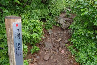 北海道 利尻島 利尻山 登山