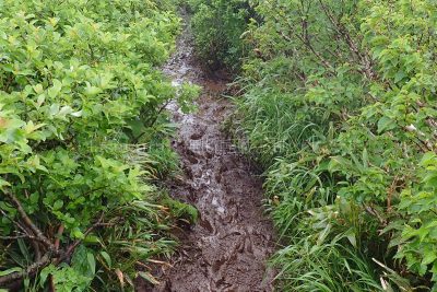 北海道 利尻島 利尻山 第二展望台