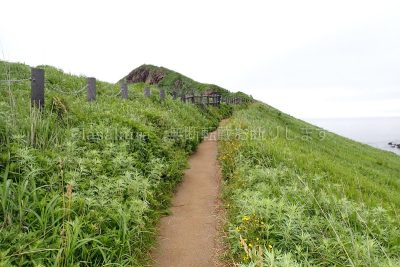 北海道 利尻島 夕日丘展望台
