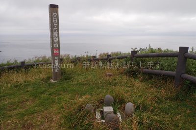 北海道 利尻島 夕日丘展望台
