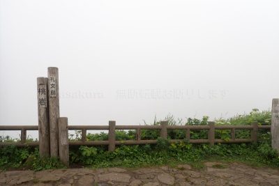 北海道 礼文島 桃岩展望台コース トレッキング 高山植物 花 桃岩展望台