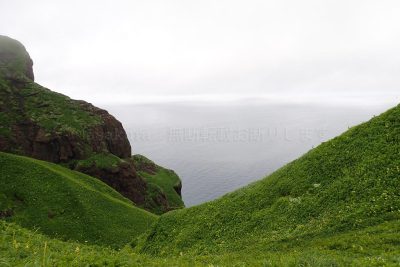 北海道 礼文島 桃岩展望台コース トレッキング 高山植物 花 キンバイの谷 復路