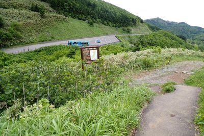 北海道 礼文島 桃岩展望台登山口