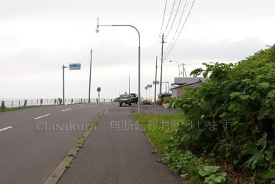 北海道 利尻島 サイクリング 姫沼 姫沼への標識