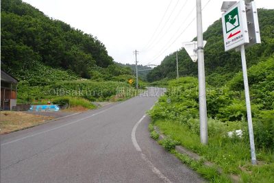 北海道 利尻島 サイクリング 姫沼 姫沼橋を見上げる