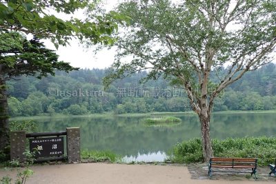 北海道 利尻島 サイクリング 姫沼