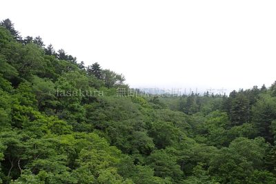 北海道 利尻島 1周 サイクリング 利尻富士自転車道