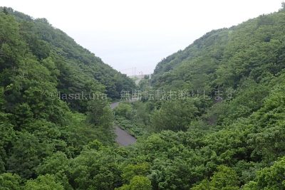 北海道 利尻島 1周 サイクリング 利尻富士自転車道