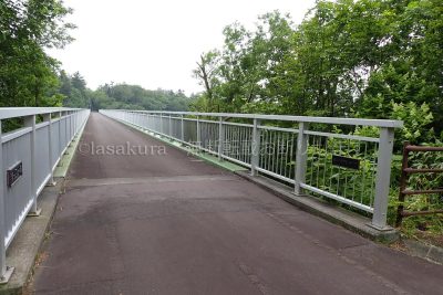 北海道 利尻島 サイクリング 利尻富士自転車道 富士見大橋