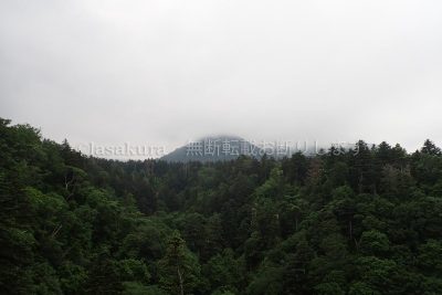 北海道 利尻島 サイクリング 利尻富士自転車道 富士見大橋