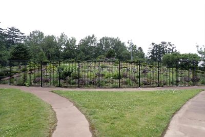 北海道 利尻島 高山植物展示園 サイクリング