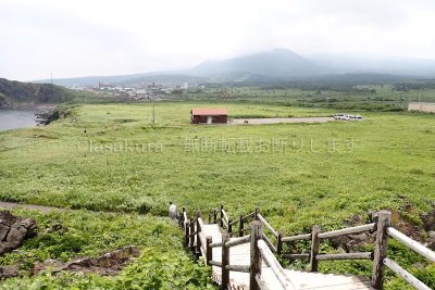 北海道 利尻島 富士野園地 サイクリング