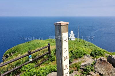 北海道 利尻島 ペシ岬 サイクリング
